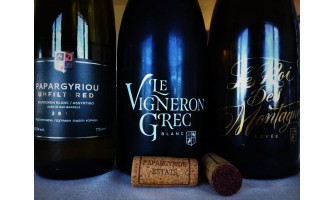 Ο Γιάννης Παπαργυρίου και ο βασιλιάς των ορέων