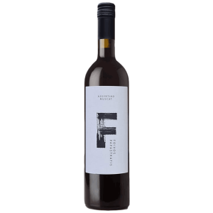 Foivos Papastratis F 2024