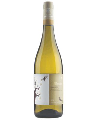 Κτήμα Χρυσοστόμου Μαλαγουζιά 2025