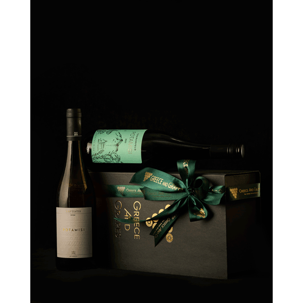 Potamisi² - Ready Composition