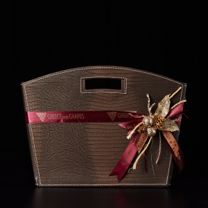 Leather magazine case with handles