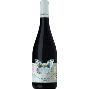 Αμπελώνες Καμκούτη Μαλαγουζιά 2024