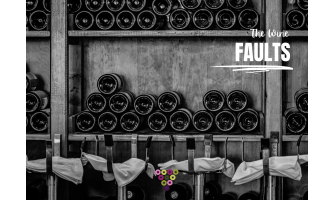 Ελαττώματα του Κρασιού