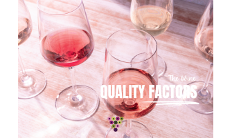 Παράγοντες Ποιότητας στο Κρασί