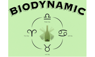 Βιοδυναμικό κρασί