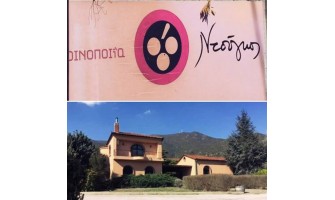 Επίσκεψη στο Οινοποιείο Ντούγκος