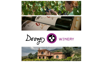 Ντούγκος Μεθ' Υμών Όψιμο 2008: Ένα ελληνικό Amarone στα καλύτερά του