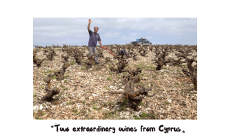 Δύο εκπληκτικά κρασιά από την Κύπρο, από τα οινοποιεία Κυπερούντα και Βουνί Παναγιά!