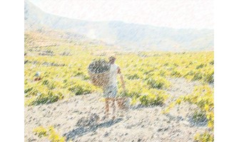 Θέρος, Τρύγος, Πόλεμος