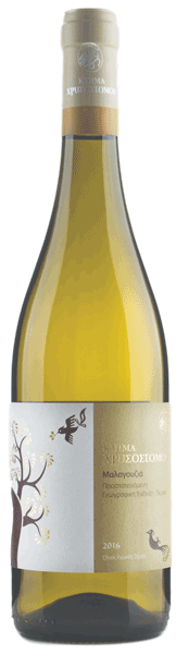 Κτήμα Χρυσοστόμου Μαλαγουζιά 2025