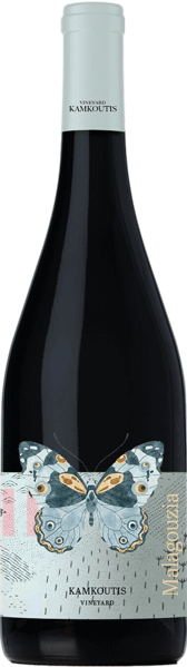 Αμπελώνες Καμκούτη Μαλαγουζιά 2025