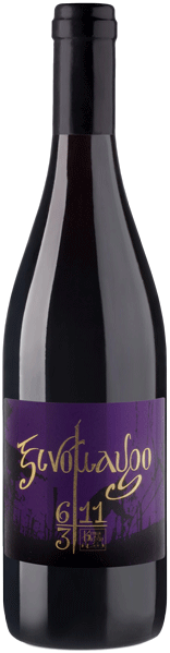 Κτήμα Κούρτη 6 Έξι Ξινόμαυρο 2020