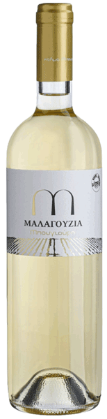 Κτήμα Μπουγιούρη Μαλαγουζιά 2025