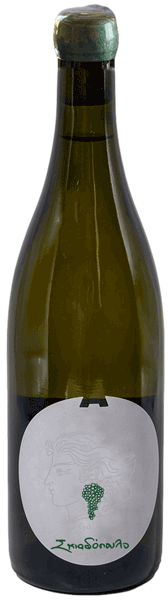 Αμπελώνες Αντωνόπουλος Σκιαδόπουλο 2024