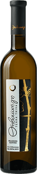 Οίνοι Θηβαϊκή Γη Μαλαγουζιά - Ασύρτικο 2024