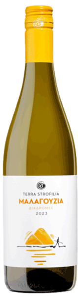 Κτήμα Στροφιλιά Διαδρομές Μαλαγουζιά 2024