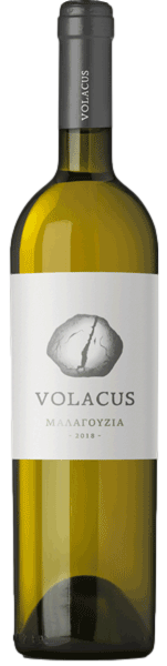 Οινοποιείο Volacus Μαλαγουζιά 2024